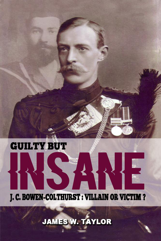 guilty or insane book cover